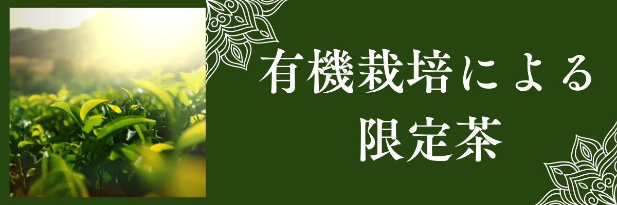 有機栽培による限定茶